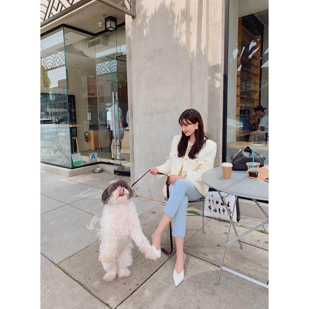 カン・ヘヨンさんのインスタグラム写真 - (カン・ヘヨンInstagram)「ㅋㅋㅋ너무 귀여운 멍뭉이를 만났다🐶🐾 똥꼬발랄 ㅋㅋㅋㅋㅋㅋ낼름😘 우리가 지나가는 멍뭉이들마다 보고 해맑게 웃고 귀엽다고 난리 치니까 사진 한 번 같이 찍으라구ㅋㅋㅋㅋ “나만 멍멍이 없어!!!!” 느낌이었나봐용🤣 망두랑 살고 싶어지게 만든 #LA 많은걸 배워가요  상점마다 앞엔 물그릇이 놓여져 있고 무료 간식도 구비되어있고, 대형견과 같이 밥먹을수 있는 식당도👌🏽 . 반려견으로 친구되는 나라💕 이래서 미국으로 입양을 보내는구나 싶어요:)) 여기 반려견들은 참 행복하겠다! 반려견 복지가 이렇게 좋을수가! . 테라스에 가만 앉아서 지나가는 멍뭉이들만 구경해도 힐링이 됐어요🍀」3月25日 10時42分 - mangdoo_noona