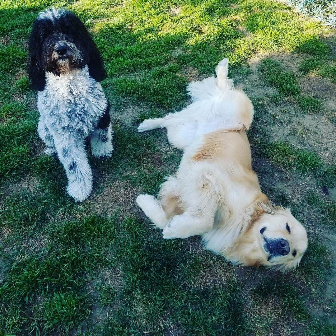 エリン・アンドリューズのインスタグラム：「This is what Howie’s mom looks like after a night out with Clark’s mom! B’day celebration with Clark W Griswold Alvarez and @petsinthecityla @samphipps @mattalvarez3 @stolly28」
