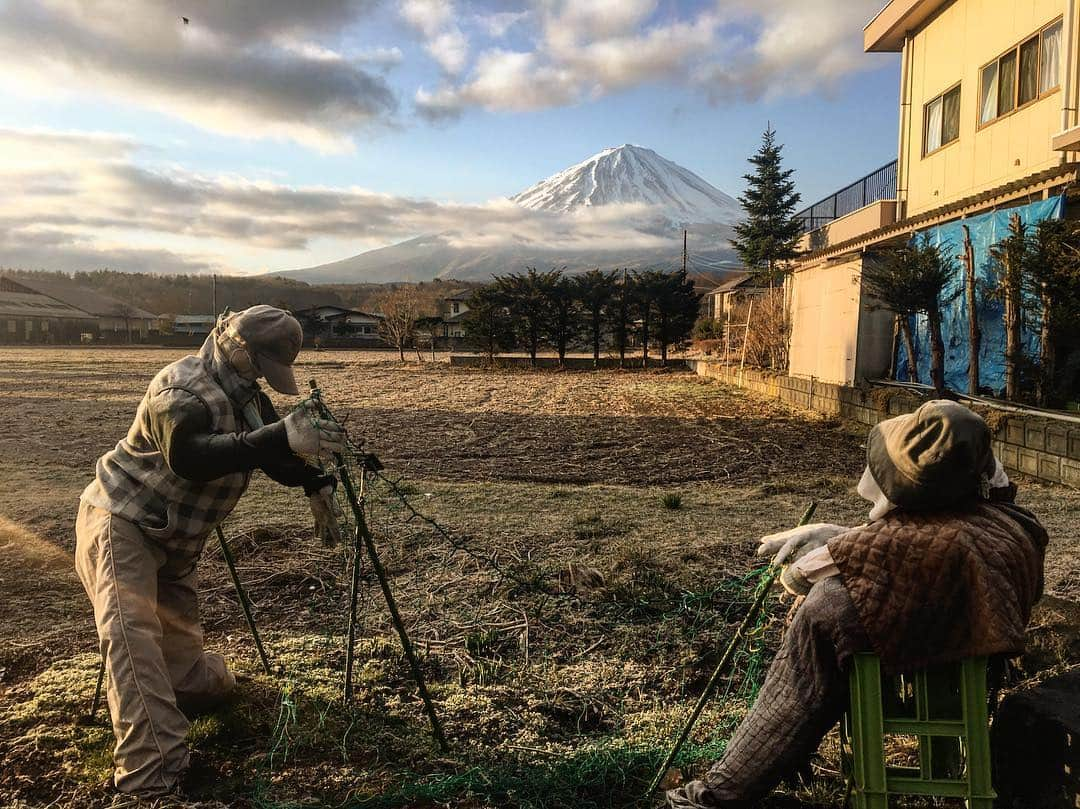 小西神士さんのインスタグラム写真 - (小西神士Instagram)「挨拶しそうになった。#かかし#scarecrow」3月25日 10時46分 - shinji_konishi