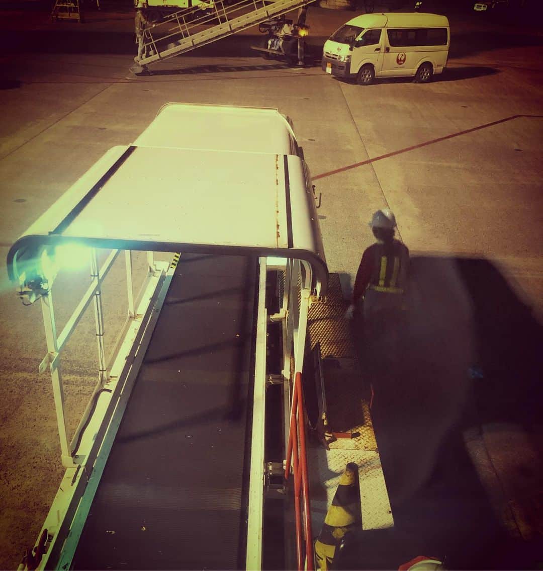 藤田朋子さんのインスタグラム写真 - (藤田朋子Instagram)「荷物を出してくれる🧳 飛行機が遅れて到着したから、まだ扉が開く前から近くに来ていたけど、結局、荷物がコンベアに乗って出てくるまで20分以上かかったよ #羽田空港 #手荷物」3月25日 11時14分 - chiendormant