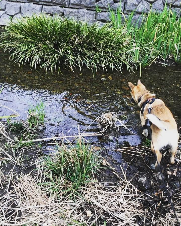 佐々木海のインスタグラム