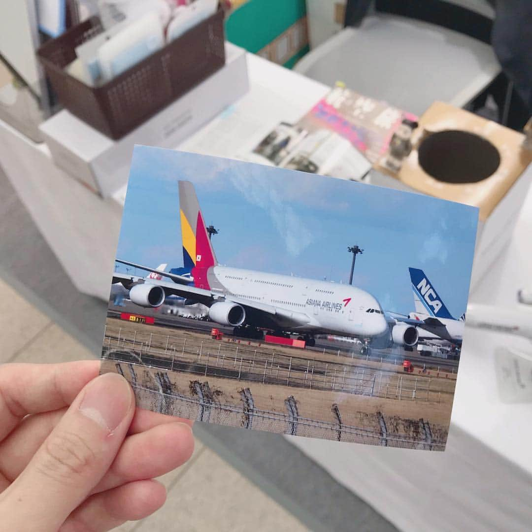 アシアナ航空日本地域公式アカウントさんのインスタグラム写真 - (アシアナ航空日本地域公式アカウントInstagram)「. 先週末羽田空港国際線ターミナルで開催されたイベントにて、嬉しいプレゼントをいただきました✈️✨ . 成田空港に就航しているA380という大型機を撮影した写真をなんとプレゼントしてくださいました❤️ . 撮影してくださるだけでも嬉しいのに、現像してプレゼントしてくれた気持ちが嬉しいですね🥰💕 . 3日間で340名の方が抽選会にご参加くださいました🎯✨ たくさんお越しいただきありがとうございました🌸 . #アシアナ航空#アシアナ#羽田空港国際線ターミナル#羽田空港#羽田から世界へ#もっと海外へ2019#ほっこり❤️#ほっこりする#プレゼント#抽選会#A380#現像#写真好きな人と繋がりたい#飛行機好きな人と繋がりたい#アシアナグラム#アシアナで行く#アシアナ倶楽部」3月25日 11時33分 - asiana.jp_official