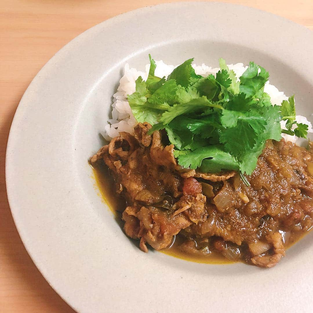 木村ミサさんのインスタグラム写真 - (木村ミサInstagram)「🍛﻿ ﻿ ﻿ カレーのしゃしん取り損ねまくってたので﻿ 久しぶりに昨日の家カレー載せる🍛﻿ ﻿ ﻿ パクチーたっぷり〜🥗﻿ じつは色々と🍛なことを計画中です﻿ まだいつお披露目できるかわからないけど﻿ おもしろそうな企画なので﻿ ぜひたのしみにしててください﻿ ﻿ ﻿ ﻿ #timeiscurry #curry #カレー #家カレー #スパイスカレー﻿ ﻿ ﻿」3月25日 11時39分 - misaxmas