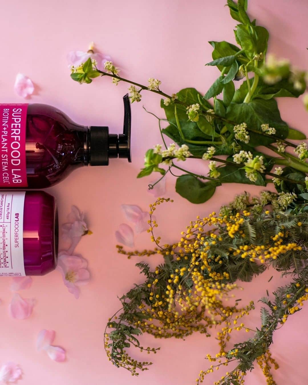 SUPERFOOD LABのインスタグラム