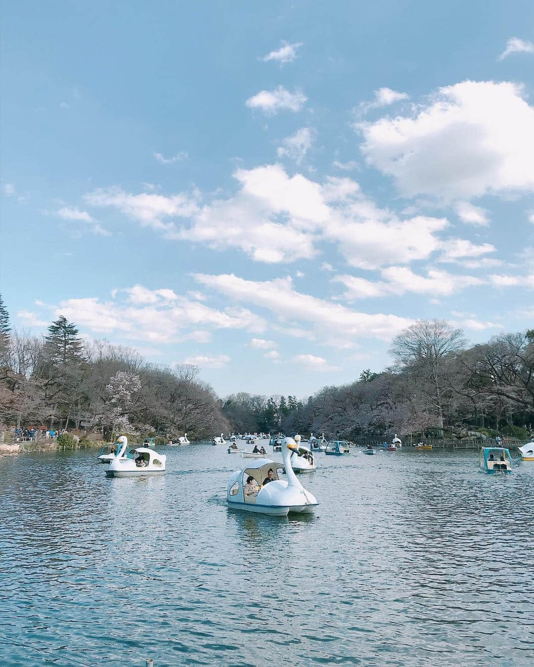 KEINA HIGASHIDEさんのインスタグラム写真 - (KEINA HIGASHIDEInstagram)「少し桜が咲きはじめた 井の頭公園を散歩。今週末が見頃かな。  #Tokyo #Kichijouji #吉祥寺 #お花見 #桜 #Tokyo_daytrip_2019」3月25日 12時14分 - keina_higashide