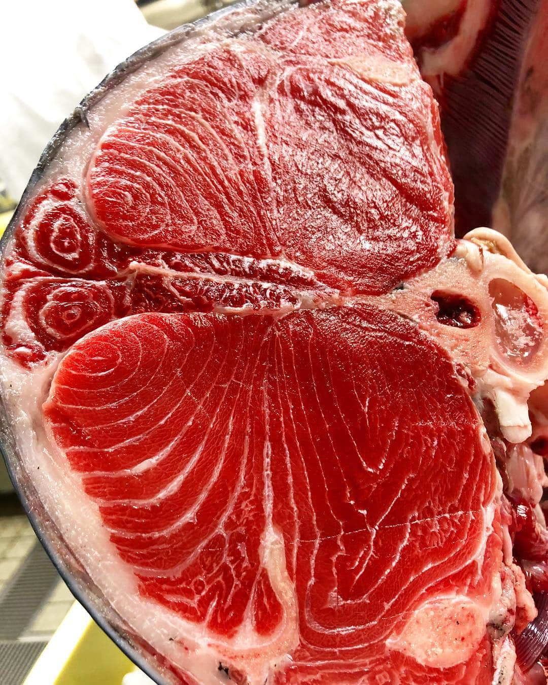 寿司居酒屋 番屋のグルメインスタ