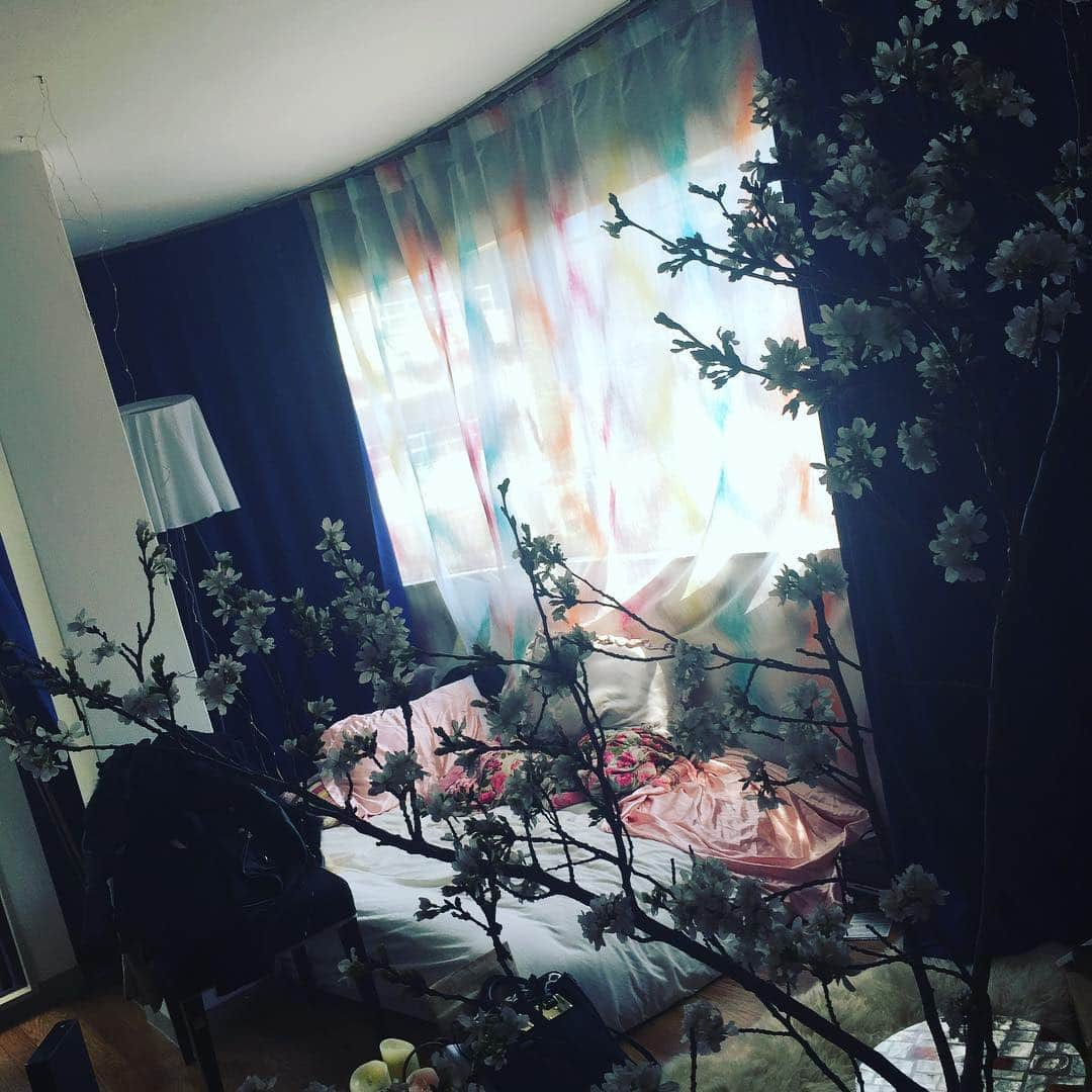 LiLyさんのインスタグラム写真 - (LiLyInstagram)「🌸部屋桜🌸  行きつけの 花屋さんの マスターに オススメされて、 花瓶ごと衝動買い🌸  初夏には ハナミズキも 飾れるよ、と🌿  お部屋で 花見しよっと🌸  #インドア派ww #花と共に生きる #リリ部屋 🌸 #lilysdiary2019」3月25日 12時19分 - lilylilylilycom