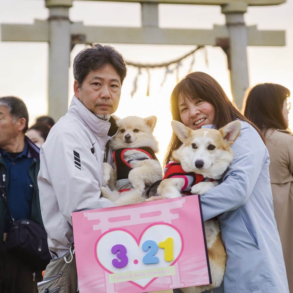 のインスタグラム：「LOVE FOR JAPAN 大切な日を記念日に2019キャンペーン ＊ #大切な日を記念日に #春分の日 #レイライン #九十九里 #一宮 #一宮シーサイドオーツカ #玉前神社 #loveforjapan #vowrenewal #バウリニューアル #バウリニューアルデイ #記念日 #アニバーサリー #バウリニューアルジャパン」