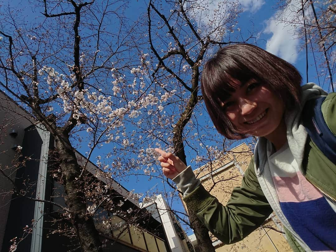 桜花さんのインスタグラム写真 - (桜花Instagram)「そして昨日の展では、 富士山柄のだるまゲット！！🍀 涼子ちゃん器用だな🌷  ハピピーン☺️🌼 でっかいだるまも富士山カラーかな✨🗻とてもきれいな青🍀  実に楽しい展でした！🍀 #富士山  #だるま  #fujisan #daruma  #山  #青 #blue  #山登り大好き芸人 #アート  #art」3月25日 12時32分 - mountainohka