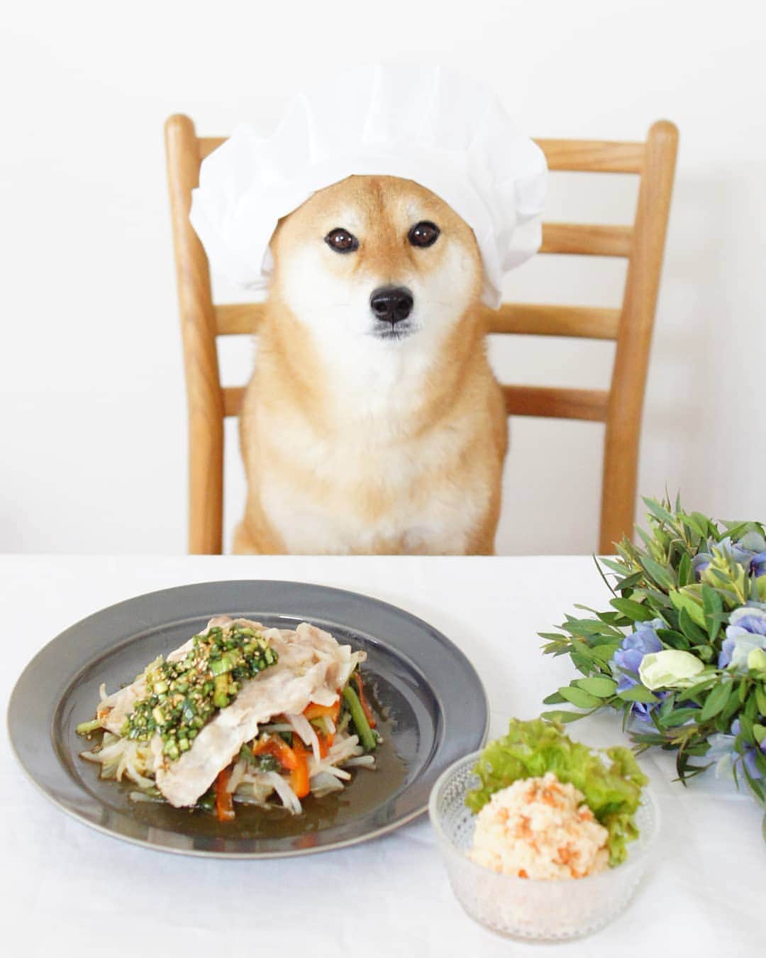 柴犬 ゆりさんのインスタグラム写真 - (柴犬 ゆりInstagram)「2019.3.25 しっかりお昼ごはん食べて 午後もファイト✊  コック帽なんだけど、何か違う…😂 ・ ・ 写真のメニューは @oisix さんの 🍴オレンジページ監修 　豚と野菜のニラ香味だれ 🍴鮭フレーク入り！ポテトサラダ  豚と野菜のニラ香味だれはフライパンで野菜と肉を蒸し焼きにするだけなので、とっても簡単❣️そしてこの香味だれがすっごく美味しい😋また作れるようにレシピがのっているので、いろんなものにかけちゃお😆 ポテトサラダは鮭フレークと意外な組み合わせ💡使いきれずに冷蔵庫の奥底に眠ってしまう鮭フレークの救済レシピに持ってこい❣️ 時間も20分で出来上がり⏰ とっても簡単で美味しくいただきました😋 野菜もお肉もたっぷりで大満足❣️ ごちそうさまでした✨  #kitoisixプレミアムモニター  #kitoisix #oisix #ミールキット  #柴犬 #犬 #shibainu #shibastagram #dog #dogstagram #dogsofinstaworld #dogsofinstagram #team_jp_ #tokyocameraclub #instagramjapan #igersjp #pecoいぬ部 #west_dog_japan #yummy #foodpics #instafood #おうちごはんlover #おうちごはん」3月25日 12時36分 - shibainuholic