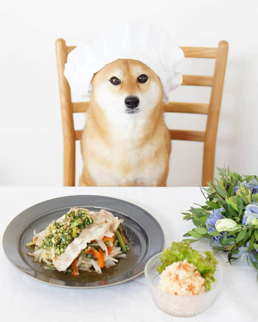 柴犬 ゆりのインスタグラム：「2019.3.25 しっかりお昼ごはん食べて 午後もファイト✊  コック帽なんだけど、何か違う…😂 ・ ・ 写真のメニューは @oisix さんの 🍴オレンジページ監修 　豚と野菜のニラ香味だれ 🍴鮭フレーク入り！ポテトサラダ  豚と野菜のニラ香味だれはフライパンで野菜と肉を蒸し焼きにするだけなので、とっても簡単❣️そしてこの香味だれがすっごく美味しい😋また作れるようにレシピがのっているので、いろんなものにかけちゃお😆 ポテトサラダは鮭フレークと意外な組み合わせ💡使いきれずに冷蔵庫の奥底に眠ってしまう鮭フレークの救済レシピに持ってこい❣️ 時間も20分で出来上がり⏰ とっても簡単で美味しくいただきました😋 野菜もお肉もたっぷりで大満足❣️ ごちそうさまでした✨  #kitoisixプレミアムモニター  #kitoisix #oisix #ミールキット  #柴犬 #犬 #shibainu #shibastagram #dog #dogstagram #dogsofinstaworld #dogsofinstagram #team_jp_ #tokyocameraclub #instagramjapan #igersjp #pecoいぬ部 #west_dog_japan #yummy #foodpics #instafood #おうちごはんlover #おうちごはん」