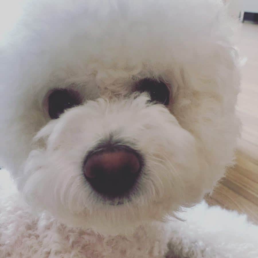 ユン・ヒョンミンのインスタグラム：「좋은하루요!🌻」