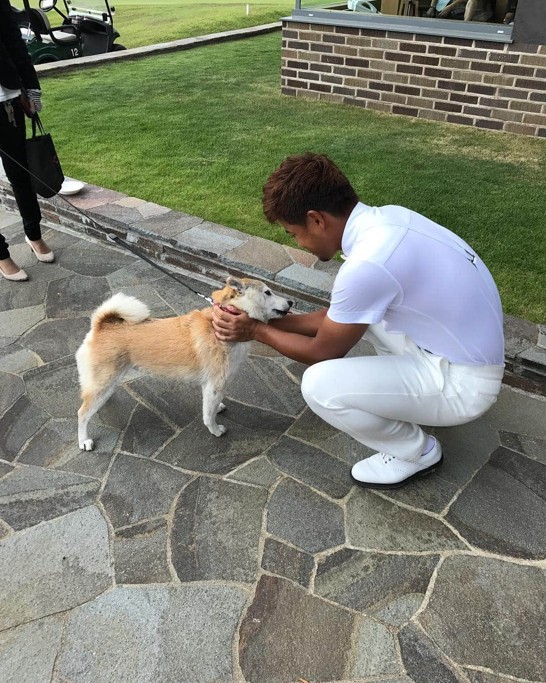 小平智さんのインスタグラム写真 - (小平智Instagram)「俺の実家で飼ってる柴犬のハナ！会いたいな〜T^T元気かな？笑 #愛犬 #柴犬 #ハナ」3月25日 12時44分 - satoshi_kodaira_official