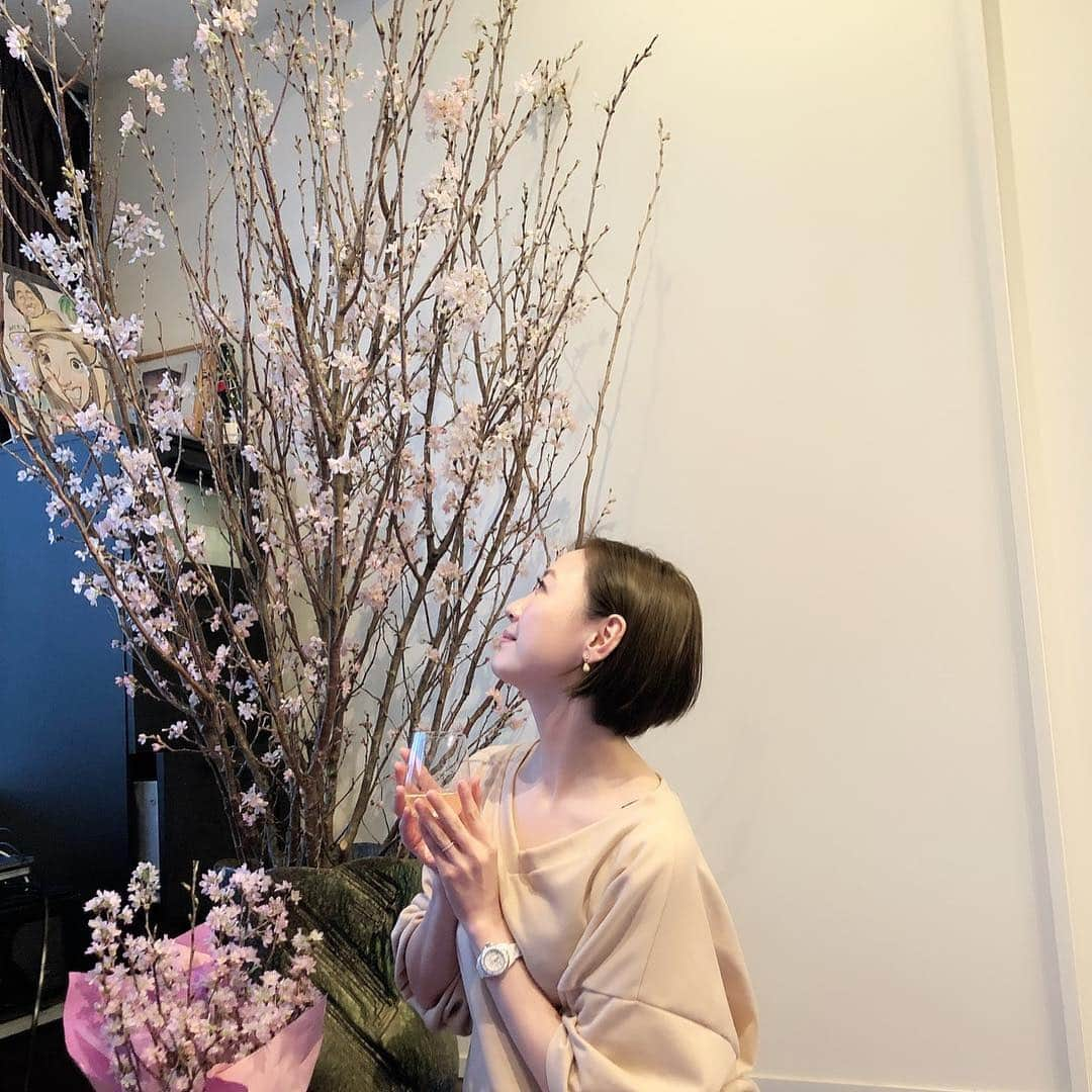 ちすんさんのインスタグラム写真 - (ちすんInstagram)「我が家に桜🌸家でお花見🌸 最高の時間をありがとう  #桜 #お花見 #屋内 #お鍋 #ブルーシート #最高 #みんな #ありがとう」3月25日 13時12分 - chisun11