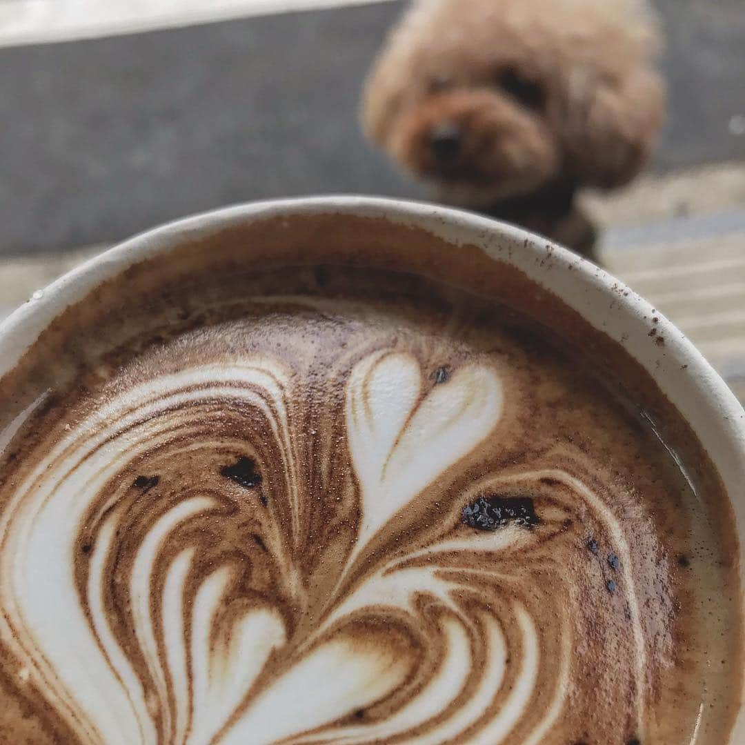 坂本眞一さんのインスタグラム写真 - (坂本眞一Instagram)「chocolate latte^ ^ 素敵なコーヒースタンドを発見。富ヶ谷は最近お気に入りの散歩コースです。」3月25日 13時30分 - 14mountain