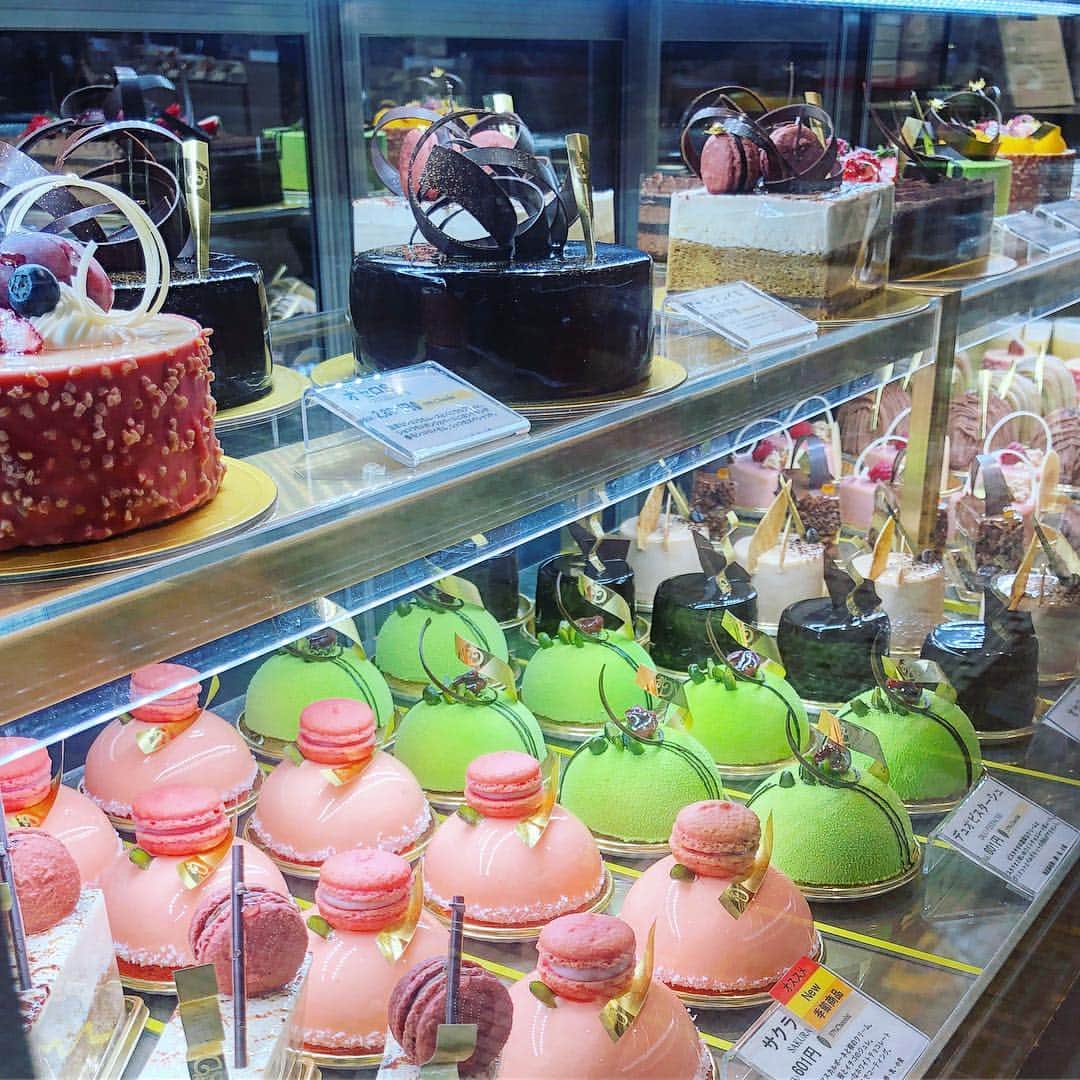 eguchikazuakiのインスタグラム：「ヒカリエのショーケース、どん❗️ まぶしー🎉なんて綺麗なケーキなんだ🍰食べたいなーってそれより。 ・ 先日【おはよう朝日】さんでデリーモ出たんですよ、見てくれましたか❓サキヨミEnterのコーナーですよ、私は見たよ😄 ・ リポーターの加納永美子さんが（@emiko_s2） 紹介してくれました、やはり黒抹茶は謎だらけのチョコですからね、そしてなにより美味しい👍 ・ インスタもあげてくれてる❗️ 嬉しいな〜お店忙しいけと京都のみんな頑張るんだぞ💪 今日はラボで撮影しています、新しい商品まだまだ出るよ👋🏻 #delimmo #デリーモ #おはよう朝日 #みた？ #ケーキ #食べたい #美味しい #ピスタチオ #さくら #サクラ #売れています #スイーツテーブル #疲れ気味 #撮影 #がんばるぞ #加納永美子 #さん #ありがとうございました」