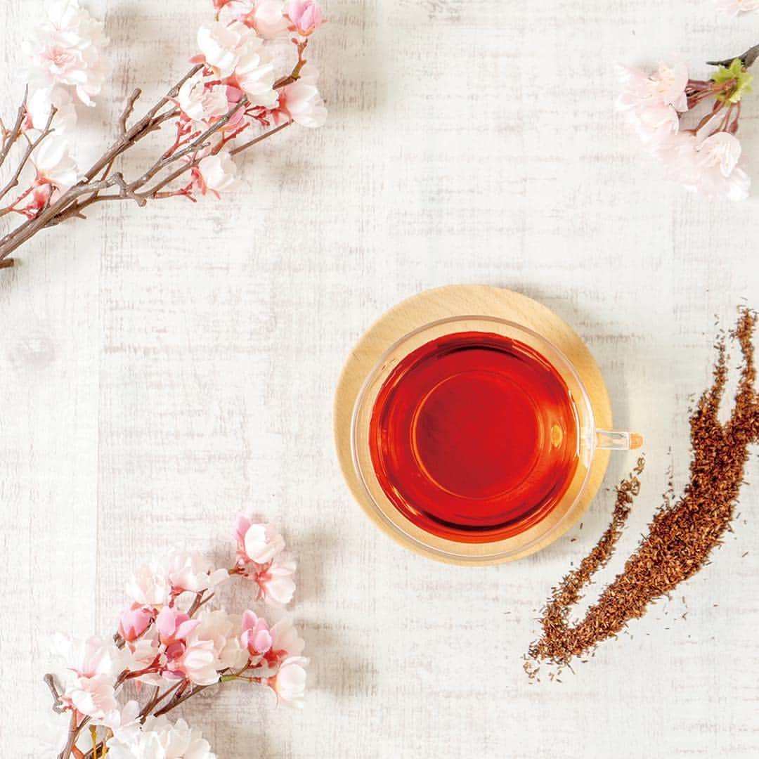 生活の木 Tree of life 【公式Instagram】さんのインスタグラム写真 - (生活の木 Tree of life 【公式Instagram】Instagram)「グランクラス 車内で提供されるハーブティーに、生活の木 季節限定品【#ルイボスさくら】が採用されました。 ㅤㅤㅤㅤㅤㅤㅤㅤㅤㅤ 深いルイボスの味わいの中に、ほのかに香る上品な桜。 桜がふわりと優しく舞うような、 日本の春を感じさせてくれるハーブティーです。 旅のひとときに、生活の木ハーブティーをぜひお楽しみください。 ㅤㅤㅤㅤㅤㅤㅤㅤㅤㅤ ◆ご提供車両：東北・北海道新幹線および北陸新幹線のグランクラスアテンダントが乗車する全ての列車 （アテンダントによる車内サービスがない列車では、ハーブティーの提供はありません） ㅤㅤㅤㅤㅤㅤㅤㅤㅤㅤ ◆ご提供期間：2019年3月22日～なくなり次第終了 ㅤㅤㅤㅤㅤㅤㅤㅤㅤㅤ ≪運営：東日本旅客鉄道株式会社様≫ ㅤㅤㅤㅤㅤㅤㅤㅤㅤㅤ ㅤㅤㅤㅤㅤㅤㅤㅤㅤㅤ #生活の木 #ハーブとアロマテラピーの専門店 #ハーブとアロマの専業メーカー  #ハーブ #ブレンドハーブ #ブレンドハーブティー #ルイボス #さくら #桜 #ルイボスさくら #日本の春 #春のお茶 #ハーブティー  #ルイボスティー  #jr #jr東日本 #新幹線 #🚄 #🚅 #特別な旅 #プライベートシート #ホスピタリティ #おもてなし #グランクラス  #グランクラスアテンダント #東日本旅客鉄道 様 #企業コラボ」3月25日 13時57分 - treeoflife_official