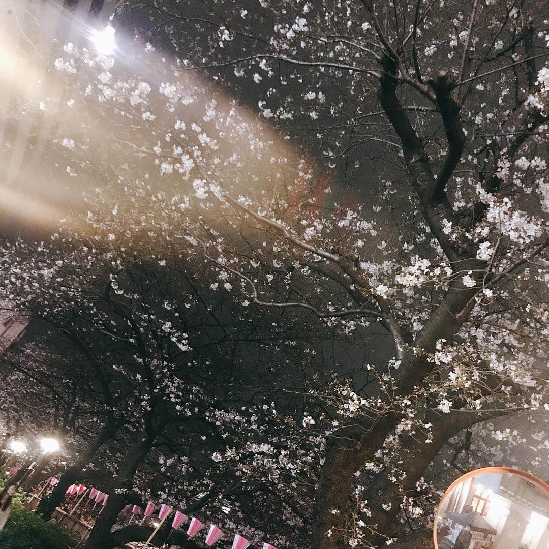 renさんのインスタグラム写真 - (renInstagram)「・ ・ 桜いとうつくし ・ ・」3月25日 23時39分 - _reeen_