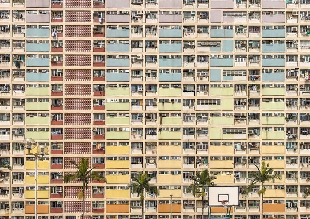 のインスタグラム：「Linda Farrow draws inspiration from the bustling city of Hong Kong, discover the new collection of rich summer hues through the link in our bio . . . #DearKowloon #LFSS19 #lindafarrow #fashionaccessories #eyewear」