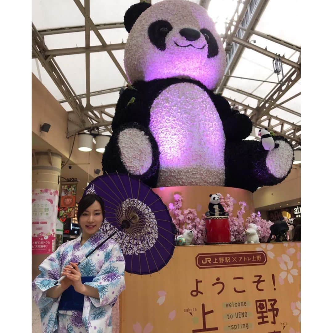 元井美貴さんのインスタグラム写真 - (元井美貴Instagram)「🐼👘🌸 #上野 #パンダ #アトレ上野 #着付けイベント #kimonome #panda #pandagigante #大熊猫」3月25日 16時07分 - mikimotoi
