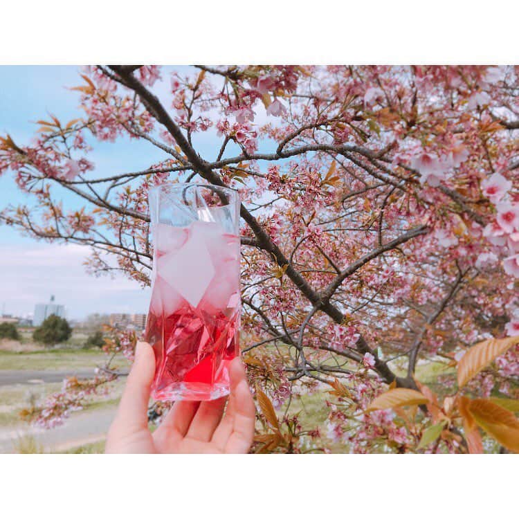 大谷朋子さんのインスタグラム写真 - (大谷朋子Instagram)「♡ * 桜はもうすぐかな🌸 * そんな桜の季節にぴったりな RAIZIN SAKURA♡ * サクラらしい香りと甘みで、後味スッキリ！ とっても可愛いサクラ色で気分も上がります🌸 * 明日3/26からは3日間限定で、 お花見が楽しめるカフェが虎ノ門にオープンします🌸 * 桜づくしの限定ランチもあるみたいなので、 エアお花見しに行ってみたいな〜♪ * * #RAIZINSAKURA #RAIZINSAKURACAFE #PR #お花見 #エア花見 #SAKURA」3月25日 16時00分 - tomoko_ohtani