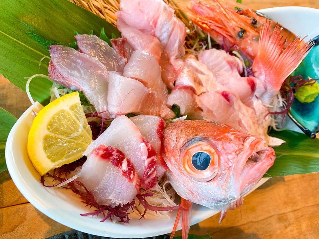 浜平恭子さんのインスタグラム写真 - (浜平恭子Instagram)「‪二ギスを食べて育ったノドグロは脂が乗りに乗ってトロのような口溶け✨ 兵庫県香美町香住のレストラン「KAN-ICHI」さんで是非「キス場のノド」を召し上がってみて下さい🌊 ご主人が魚の仲買人さんだからこそ、干物屋さんがされているお店だからこその味わい🐟 目の前に広がる日本海も開放的で気持ちイイ🌟 ‬#日韓カップル #日韓夫婦 #日韓往復 #ラジオDJ #浜平恭子 #KissFMKOBE #한일커플 #한일부부 #한일왕복 #라디오DJ #하마히라쿄코 #兵庫県 #香美町 #香住 #ノドグロ #キス場のノド #kanichi」3月25日 16時09分 - hamahi1231