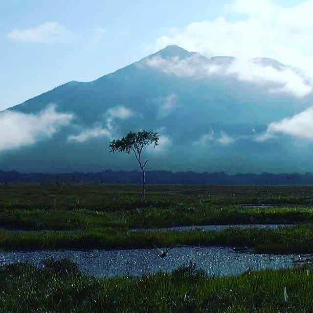 尾瀬旅のインスタグラム：「. 雄大で不思議な尾瀬の湿原. . Repost from @compasdirection さん . . . 尾瀬ヶ原 . #尾瀬 #尾瀬国立公園 #尾瀬ヶ原 #湿原 #尾瀬戸倉 #福島 #新潟 #群馬 #只見川 #尾瀬沼 #燧ヶ岳 #特別天然記念物 #至仏山 #登山 #ハイキング #山小屋 #ivoryfilm#尾瀬旅 #ozextreme #oze #japantrip #japantravel #旅の思い出  #アウトドア #私の山フォト #絶景 #自然 #トレッキング #hiking #アウトドアライフ」