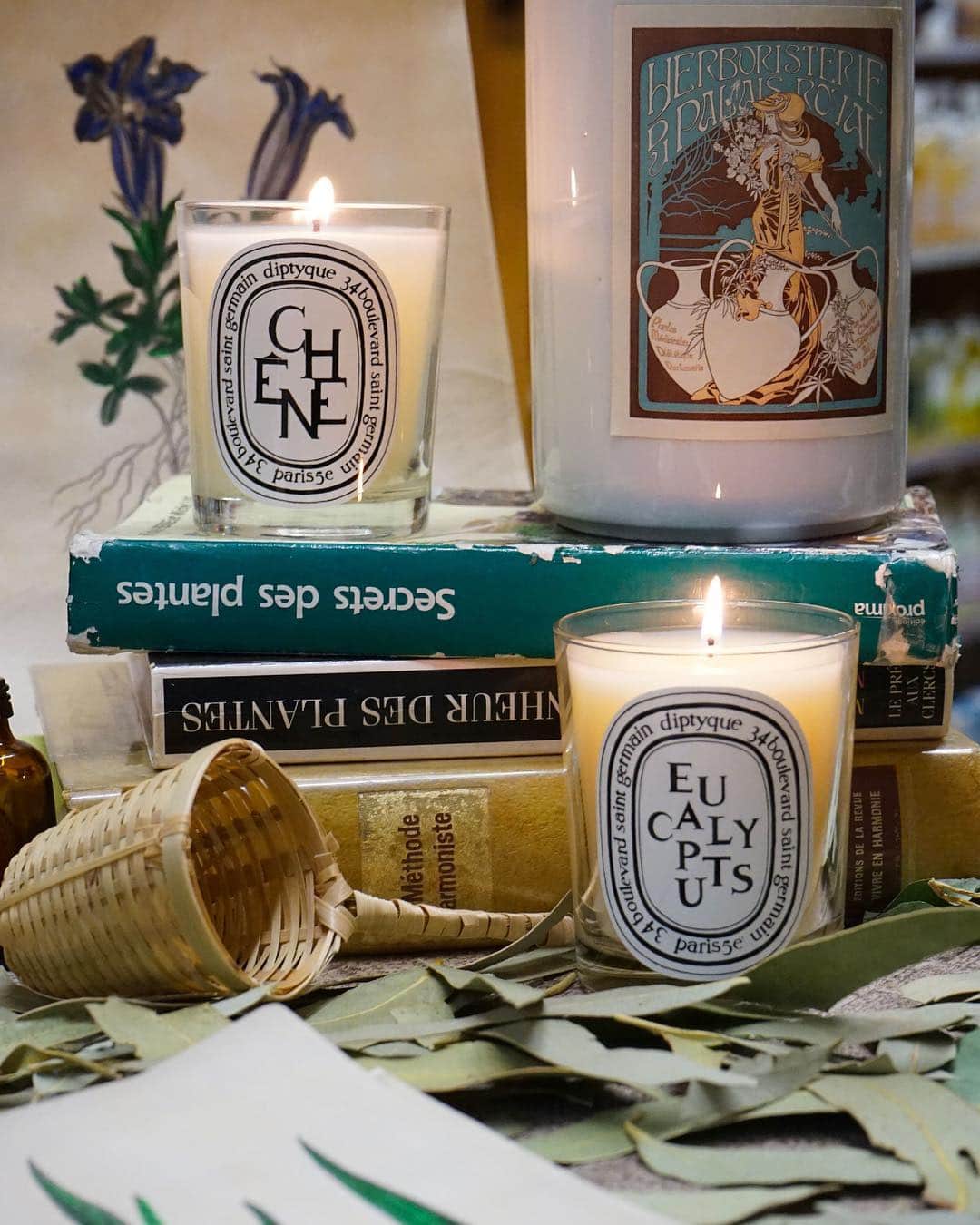 ディプティックさんのインスタグラム写真 - (ディプティックInstagram)「A HERBALIST'S SHOP The duo, Chêne and Eucalyptus, can be found in one of the oldest herbalist shops in Paris, where their fragrances fuse. #diptyque #scentpairing #candles #chêne #eucalyptus」3月25日 17時04分 - diptyque