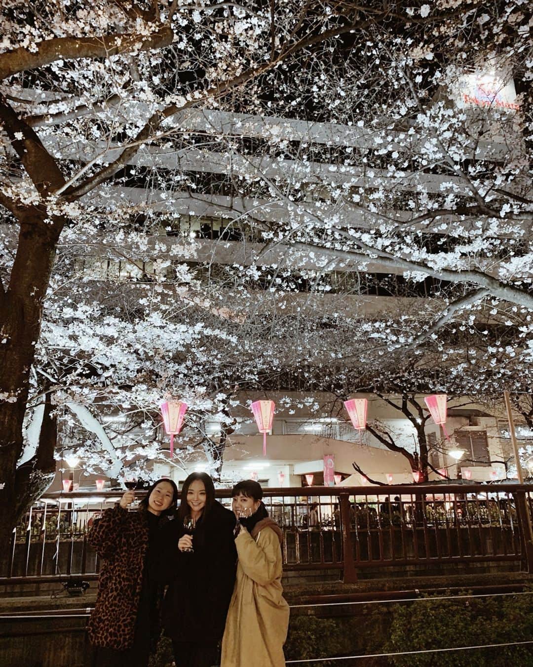 のインスタグラム：「親戚なのかな？と思うほど付き合いが長ーい 友達のまゆとさおりと夜桜を見に中目黒へ🌸﻿﻿ ﻿﻿ ほぼ満開に近い桜﻿。﻿﻿ ﻿﻿﻿ 日本の桜ってやっぱり素晴らしいね🌸﻿﻿﻿ ﻿﻿﻿ ﻿動画①は﻿ 微笑ましい動画﻿ ﻿ 動画②は﻿ 桜は最高に綺麗だけど、うちらのリアクションがなんかわざとらしいw﻿ ﻿﻿ ﻿﻿ ──────────────────────────﻿﻿﻿ #桜 #さくら #cherryblossom #中目黒 #目黒川沿い #nakameguro #夜桜」