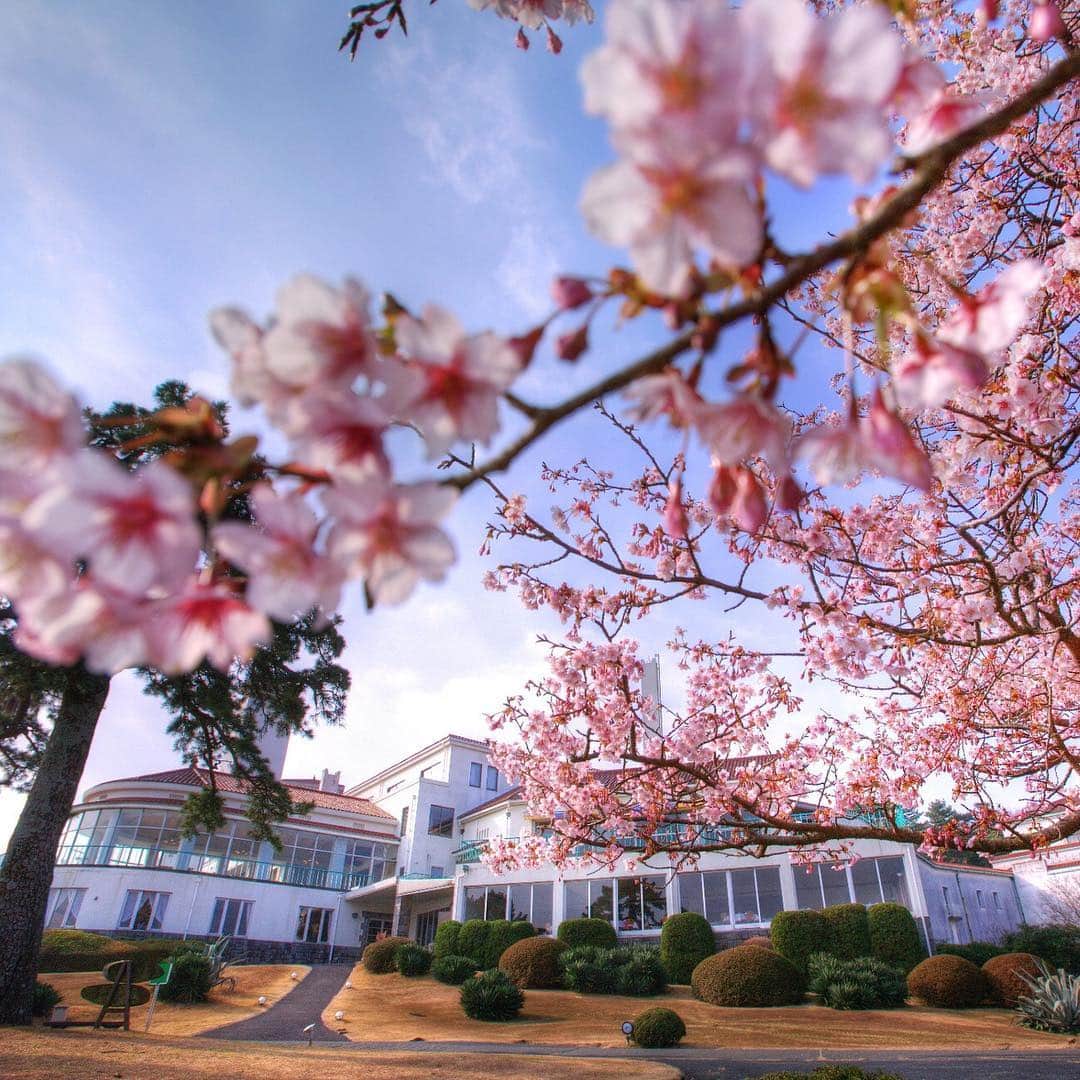 一休.com公式アカウントのグルメインスタ