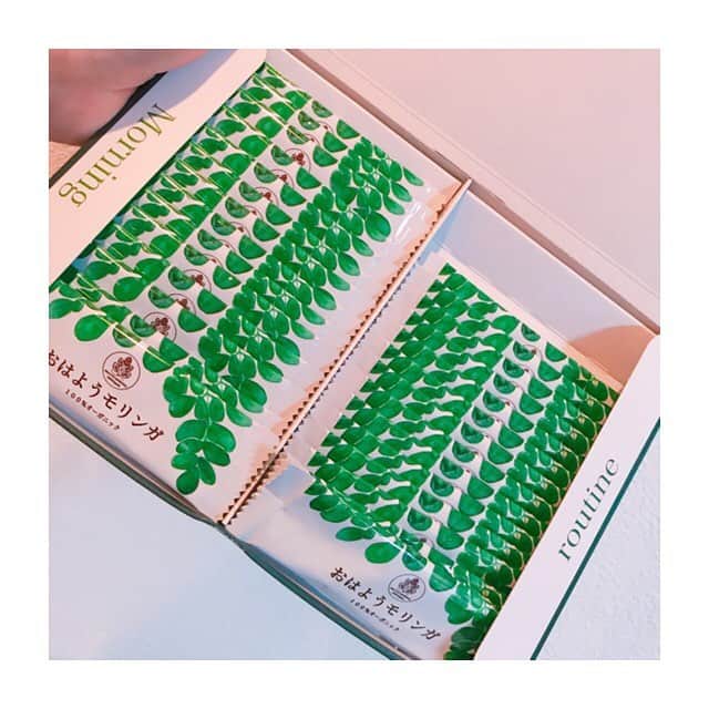のインスタグラム：「最近ハマっているお茶  #おはようモリンガ 🍵  #便秘 改善や #美肌 効果の他 #花粉症 にも効くみたいなので 飲み続けてみようと思います🌿  #美容 #美容オタク #お茶好き #お茶 #健康茶 #アンチエイジング #モリンガ #tea #japanesetea #便秘改善 #花粉症対策 #持ち運びにも便利なサイズ」