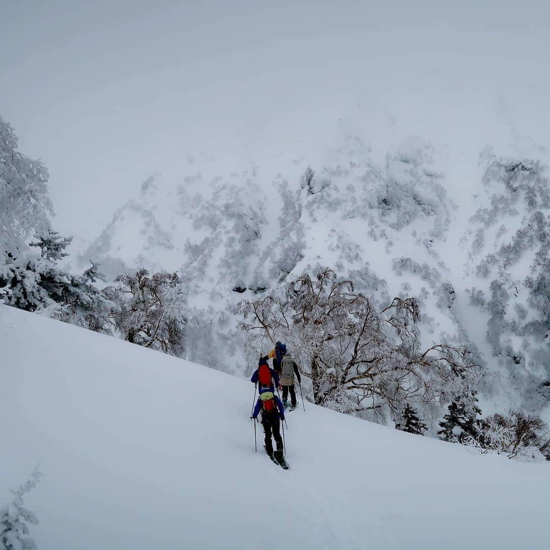 渡部善斗さんのインスタグラム写真 - (渡部善斗Instagram)「🙆‍♂️#backcountryskiing #spreadtelemark#japow #swanssnowgoggles #hungerknockoriginals #良き」3月25日 17時39分 - wtbyst