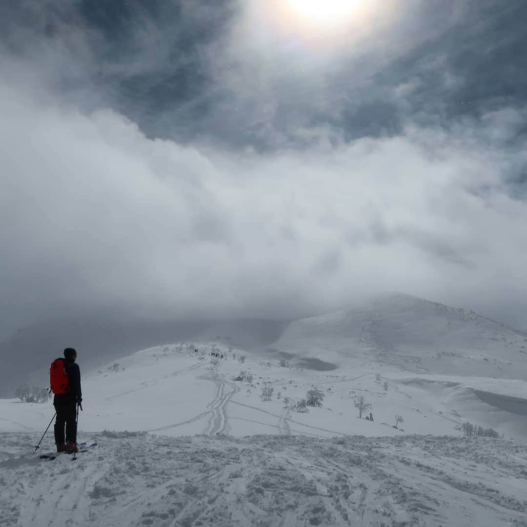 渡部善斗さんのインスタグラム写真 - (渡部善斗Instagram)「🙆‍♂️#backcountryskiing #spreadtelemark#japow #swanssnowgoggles #hungerknockoriginals #良き」3月25日 17時39分 - wtbyst