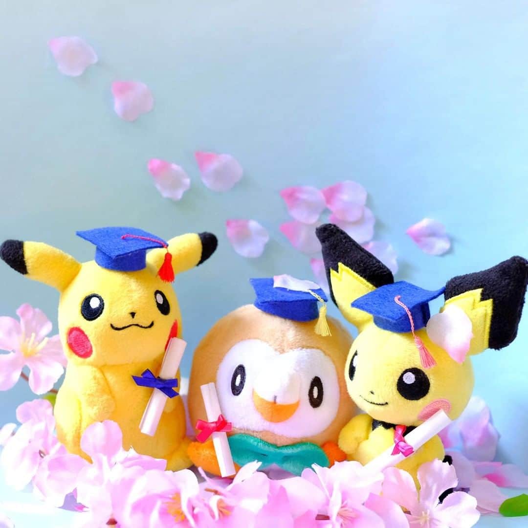 ピカチュウ公式Instagramさんのインスタグラム写真 - (ピカチュウ公式InstagramInstagram)「【今日のピカチュウ】 卒業の季節がやってきたね🏫💐 ピカチュウたちも、帽子を被せてもらって、卒業生気分🎓✨✨ #pikachu #pichu #rowlet #pokemon #pikachu_snap #photooftheday #flower #flowers #sakura #cherryblossom #pink #graduation #spring  #ピカチュウ #ピチュー #モクロー #ポケモン #花 #桜 #卒業 #卒業式 #春」3月25日 18時00分 - pokemon_jpn