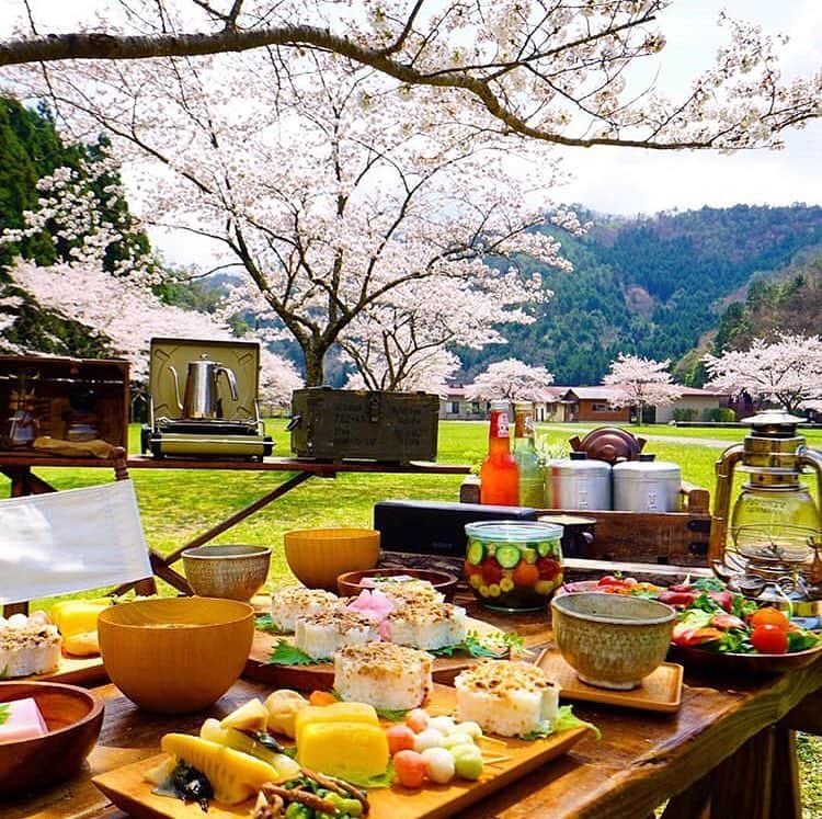 au公式Instagramアカウントのインスタグラム：「[#桜×#スマホジェニック]﻿ ﻿ 兵庫県「ハイマート佐仲オートキャンプ場」で撮影されたこちらのお写真は @marimari8208 さんの#スマホジェニック な1枚🍱🌸﻿ 今回は【おしゃれな花見の撮影テクニック】をご紹介します。﻿ ﻿ 撮影のポイントは「料理の盛り付け」と「構図」。﻿ ﻿ お寿司やピクススは予め自宅で用意。副菜はお惣菜で調達し、華やかさがうまれるよう彩り豊かに盛り付けられたとのこと。キャンプならではの小物を周りに並べることで、他にはないオリジナリティのある1枚に✨﻿﻿ また、一緒に空や山を写しこませることで、奥行き感が生まれて構図がパッと引き立っています🏔﻿ ぜひこちらを参考にして、皆さんも#桜 の素敵な一枚を撮影してみてくださいね♪﻿ ﻿ ﻿ photo by @marimari8208﻿」
