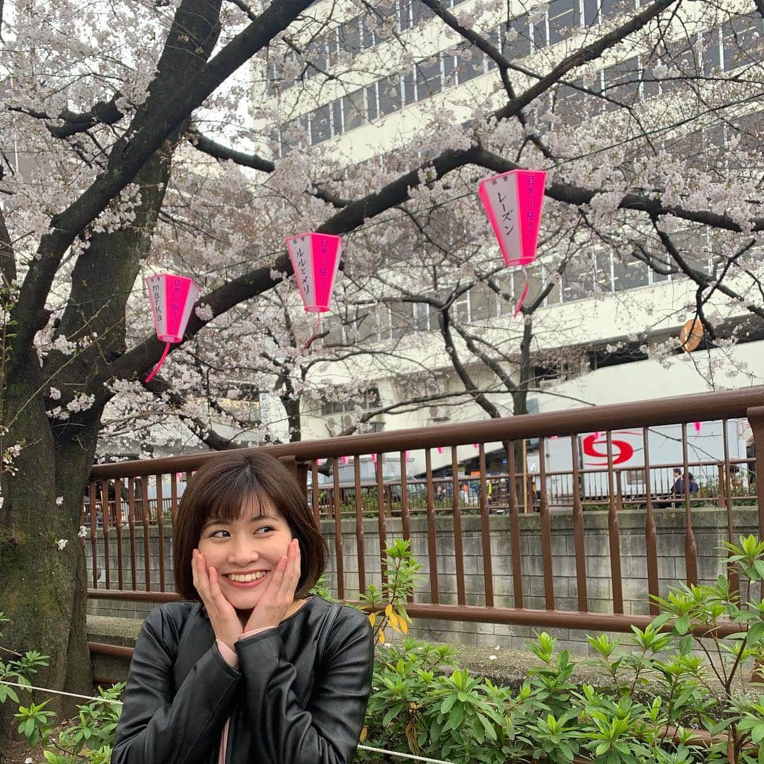 長谷川怜華さんのインスタグラム写真 - (長谷川怜華Instagram)「.. 桜🌸 🧥MIIA 👗MERCURYDUO 🎒MERCURYDUO  リュック見えてないけど、、笑笑 珍しくピンクのワンピース♪  #中目黒 #目黒川 #桜 #miia #mercuryduo  #fashion #pink #love #followme #ootd .. ..」3月25日 18時02分 - hasegawa_reika