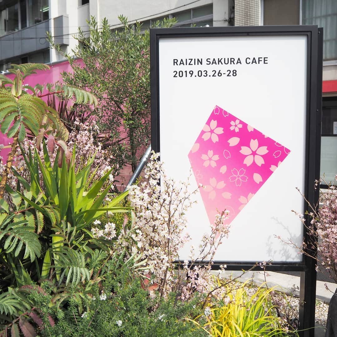 Kuboi Ayumiさんのインスタグラム写真 - (Kuboi AyumiInstagram)「お花見をしながらゆったりランチ。 やっぱり桜を見るとテンションがあがります。  ランチタイムにお花見ができちゃう「RAIZIN SAKURA CAFE」に行ってきました。  明日から3日間限定で虎ノ門にオープンします。  外も店内もいたるところに桜が飾られているおしゃれな空間で かわいくておいしいRAIZINカクテルや、桜を堪能できる「SAKURAづくしランチ」を 楽しめます。  カクテルはノンアルコールもあり、甘酸っぱくでピンクできれいなので ぜひ試してみてくださいね。 ･ ･ ■RAIZIN SAKURA CAFE概要 開催場所： 「TREX TORANOMON CAFE」東京都港区西新橋2-17-4 開催期間：　2019年3月26日（火）～2019年3月28日（木）11：00～23：30（ランチメニューは11：00～15：00）  #RAIZINSAKURA #RAIZINSAKURACAFE #PR #お花見 #エア花見  #桜 #cherryblossom #cafe #カフェ #カフェ巡り #pink」3月25日 18時29分 - himekagami