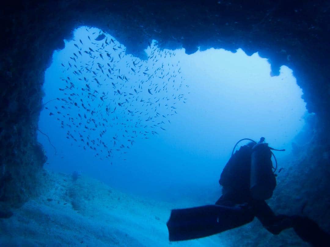 志摩夕里加のインスタグラム：「🧜‍♀️🌊 地形好き👍 ・ ・ #scubadiving #eldive #diving #elnido #elnidogram #elnidopalawan #ダイビング #地形が好き #地形ダイビング #海底 #海底の世界 #海外旅行 #エルニド」