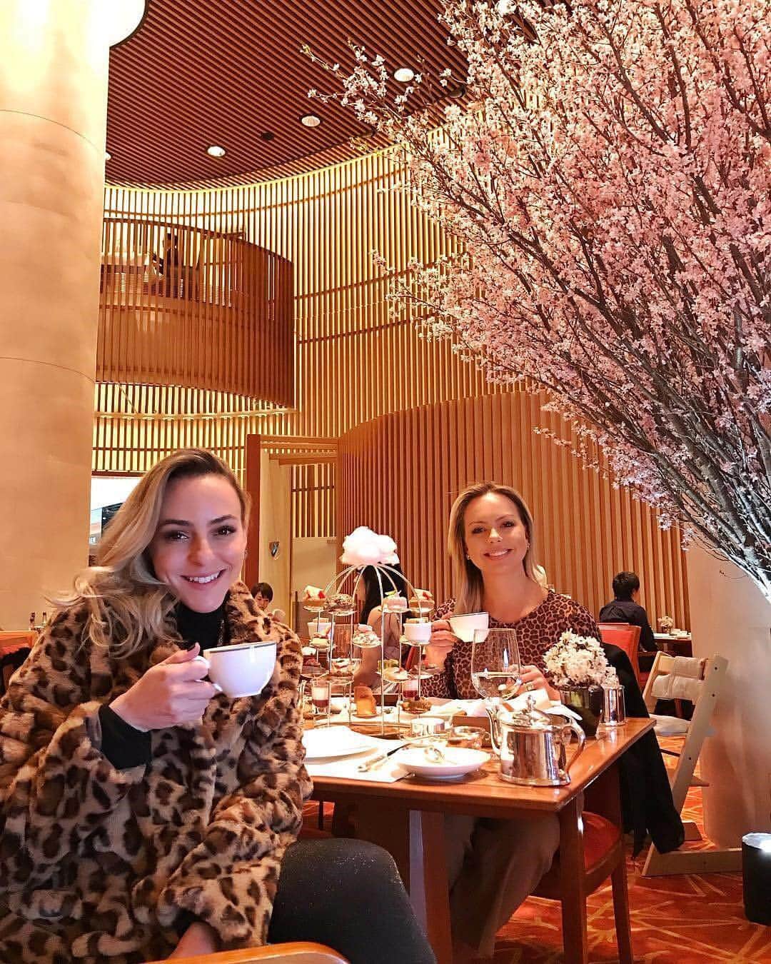 The Peninsula Tokyo/ザ・ペニンシュラ東京さんのインスタグラム写真 - (The Peninsula Tokyo/ザ・ペニンシュラ東京Instagram)「ザ・ペニンシュラ東京で春を満喫しながら桜のアフタヌーンティー。  @fashionistando 素敵なお写真を投稿してくださり、ありがとうございます！今月は桜のプロモーションを実施中です。ぜひ当ホテルを訪れて、#peninsulatokyolovessakura のハッシュタグと共に春の体験をシェアしてください！🌸😊 ⠀ Just take it from @fashionistando -- Afternoon Tea is best enjoyed beneath the fully-blossomed sakura boughs at The Lobby. 🌸 Visit us all this month during sakura season and share your photos with us! Use our hashtag #peninsulatokyolovessakura for your chance to be rewarded with a sakura experience for you and a friend at the hotel.😊」3月25日 18時33分 - thepeninsulatokyo