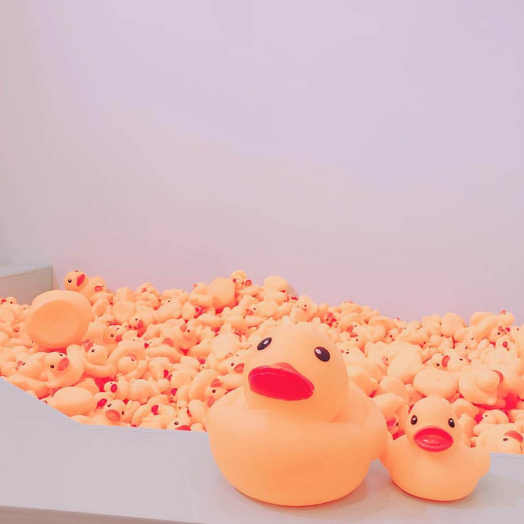 VINYL MUSEUM (ビニール ミュージアム) のインスタグラム：「* 大阪人気ブース🐤🐤アヒルのプール🐤🐤特にお子様に大人気💕 アヒルに埋もれてフォトジェニックな一枚を撮影してみて下さい💓 ムービー撮影も面白いですよ😊 ・ ・ ⚜️開催情報⚜️ ▪︎名古屋 2019年3月9日(土)〜28日(木) ららぽーと名古屋みなとアクルス1Ｆ センターコート ▪︎大阪 2019年3月16日(土)〜4月7日(日) 毎日放送本社ビル1Ｆ ちゃやまちプラザ ・ ・ ・ #vinylmuseum #ビニールミュージアム #インフルエンサー #名古屋 #大阪 #インスタ映えスポット #花 #春 #花見 #フォトジェニック #おでかけスポット  #mbs #アヒル #アヒル風呂 #らいよんチャン #ちゃやまちプラザ #ららぽーと名古屋みなとアクルス #ららぽーと #museum #photospot #photostudio #instagrammer #instagram #nagoya #osaka #shoppingmall #mbs #japan」