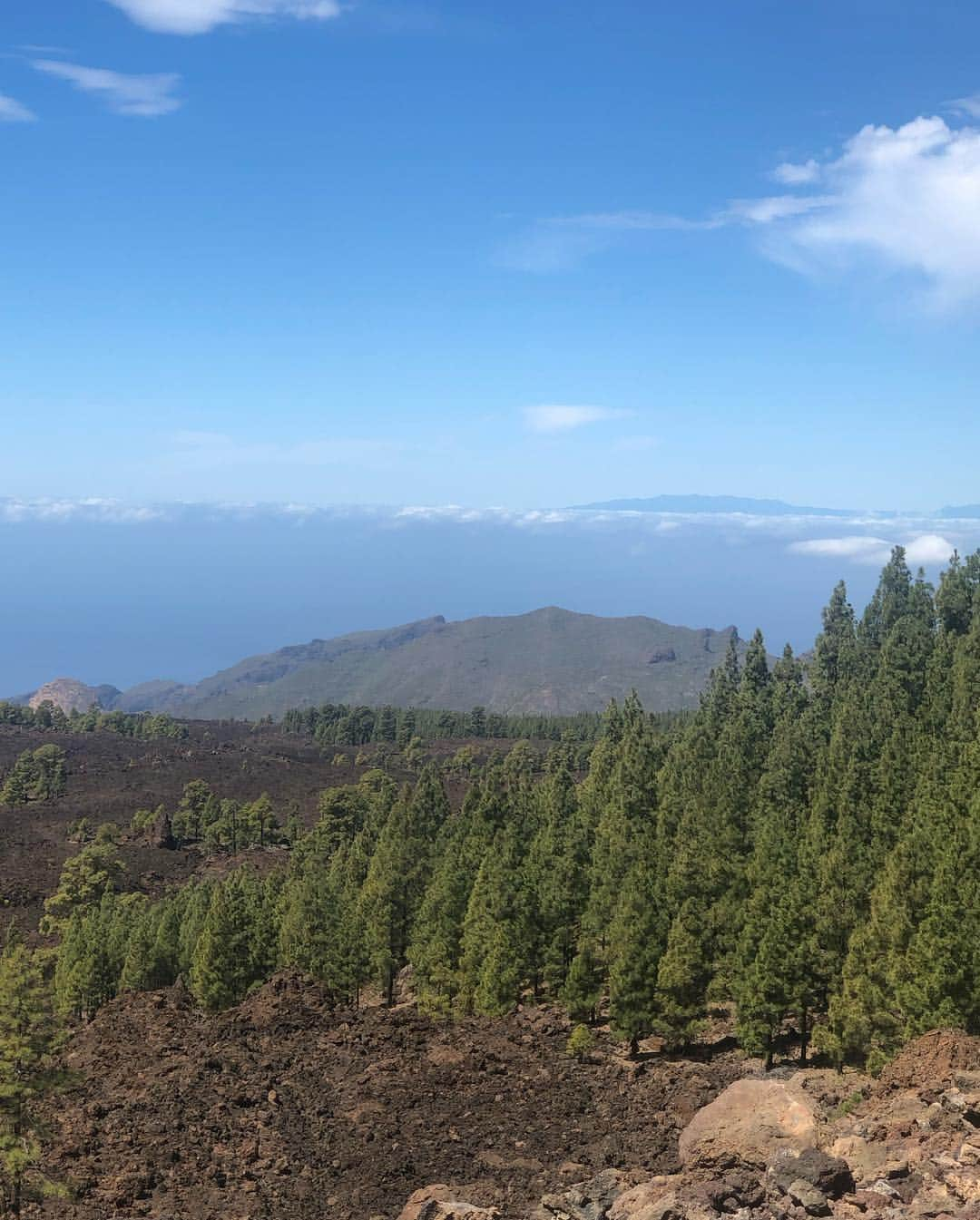 ジェマ・アトキンソンさんのインスタグラム写真 - (ジェマ・アトキンソンInstagram)「Last week me and Gorks climbed Mount Teide 🌋 (it’s a drive, cable car and flat walk before the pregnancy police start on me) I haven’t been here since my dad passed away. We used to come every year and do the hike so it was bitter sweet, but I know he somehow helped drag me up there ❤️」3月25日 18時55分 - glouiseatkinson