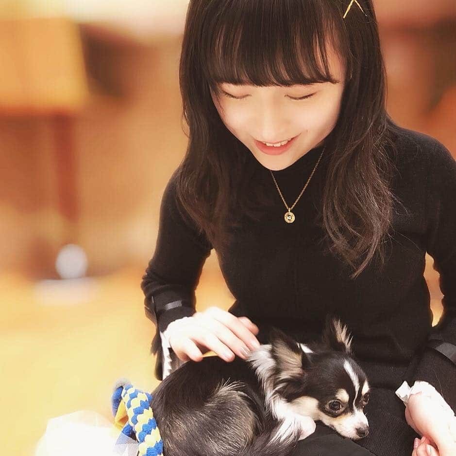 川本紗矢さんのインスタグラム写真 - (川本紗矢Instagram)「癒し♡🐶 . #先日行った #犬カフェ #犬 #可愛い #癒し」3月25日 18時57分 - sayaya_38