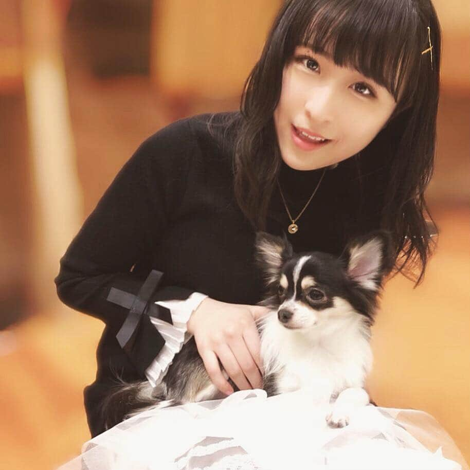 川本紗矢さんのインスタグラム写真 - (川本紗矢Instagram)「癒し♡🐶 . #先日行った #犬カフェ #犬 #可愛い #癒し」3月25日 18時57分 - sayaya_38