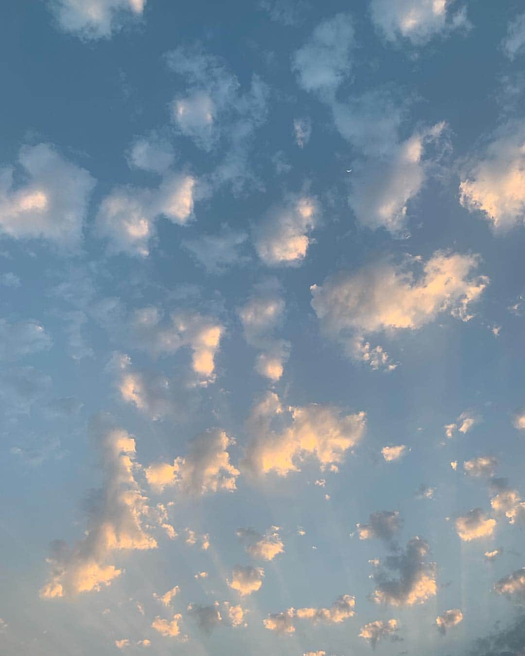 Amelia Zadroのインスタグラム：「Magic skies farewell me today 🌬」