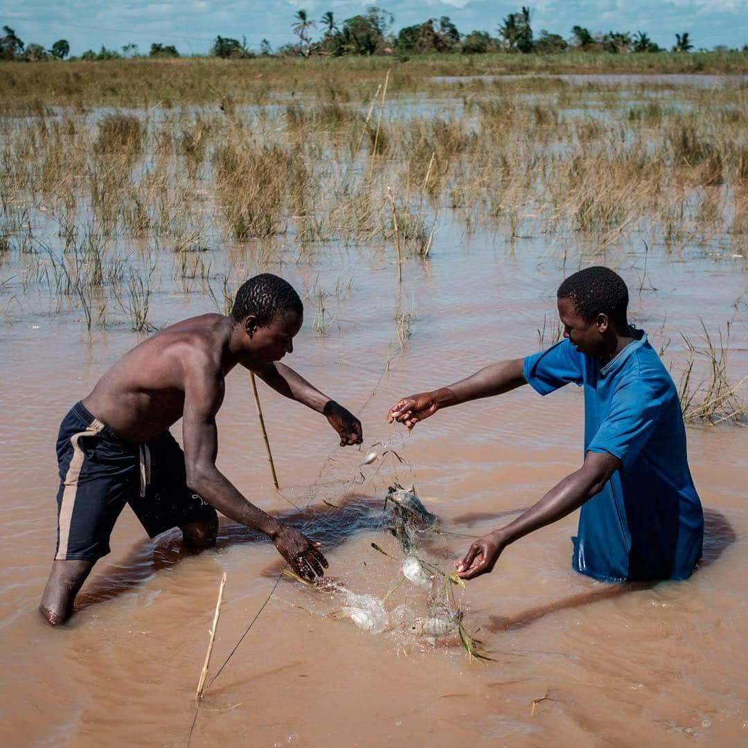 TIME Magazineさんのインスタグラム写真 - (TIME MagazineInstagram)「Girls collect artificial flowers from the rubble of a building destroyed by Cyclone Idai at Sacred Heart Catholic Church in Beira, #Mozambique, on March 24. In the second photograph, fishermen attempt a catch in a flooded area in Tica the same day. Citing government figures, @apnews reports half of the 1.8 million people affected by the storm—which slammed into eastern #Africa more than a week ago—are #children who have been separated from their families, orphaned, made homeless or impacted another way. More than 750 deaths have been attributed to the cyclone. Authorities have warned the toll could rise as waters continue to recede. Photographs by Yasuyoshi Chiba—@afpphoto/@gettyimages」3月26日 1時06分 - time