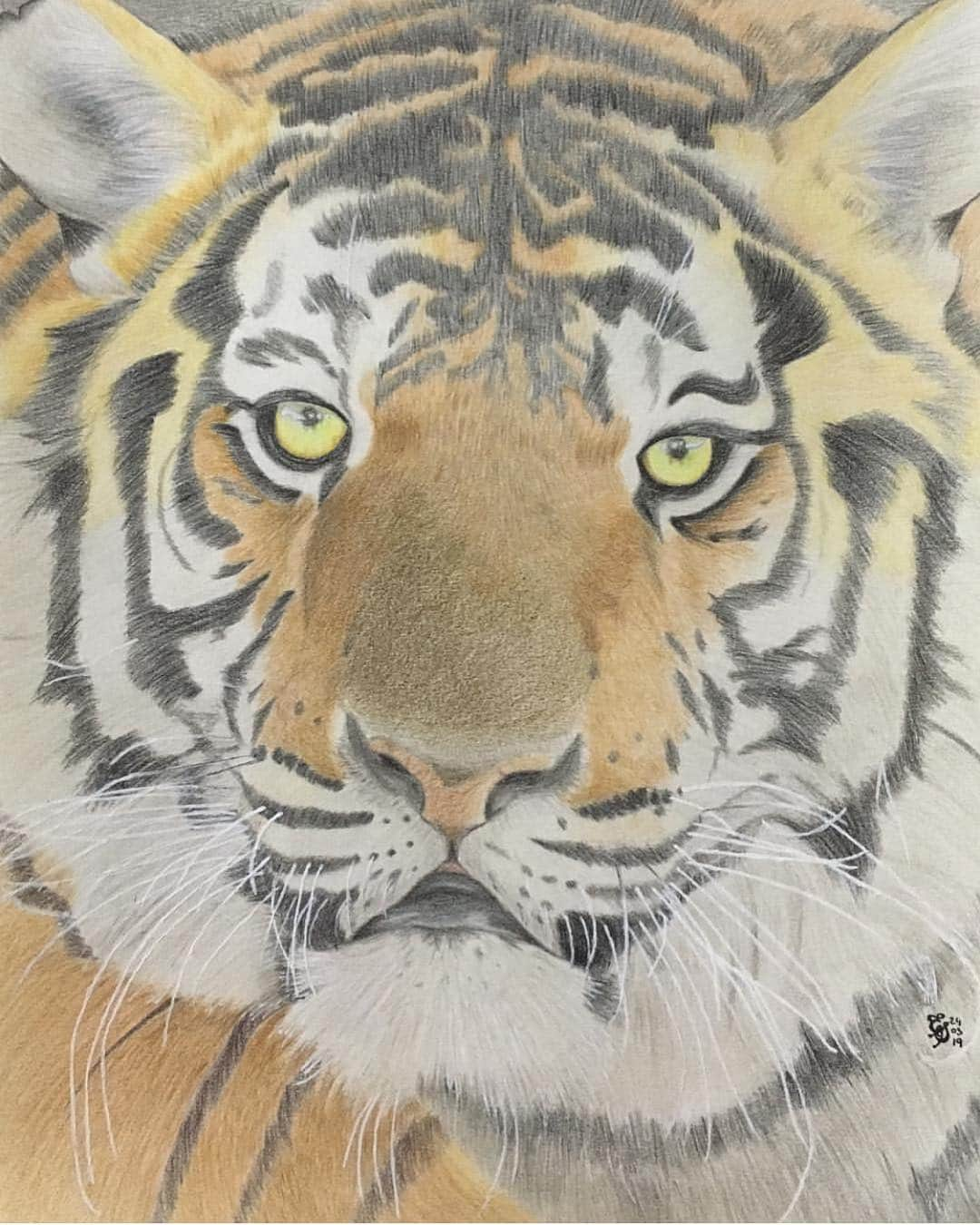 Black Jaguar-White Tiger さんのインスタグラム写真 - (Black Jaguar-White Tiger Instagram)「Look, The Blue Warrior. It looks just like him. Done by @estela_salvador  #ThankYou #AchillesBJWT #SaveTigers」3月26日 1時07分 - blackjaguarwhitetiger