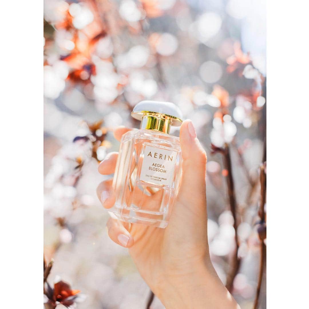 ジェイミー・チャンさんのインスタグラム写真 - (ジェイミー・チャンInstagram)「Smells like SPRING! Beautiful new scent by @aerin ‘Aegea Blossom’ with hints of orange flower, neroli and mandarin 🍊#AERINAmbassador #AerinBeauty 📷 @janawilliamsphotos_」3月26日 1時07分 - jamiejchung