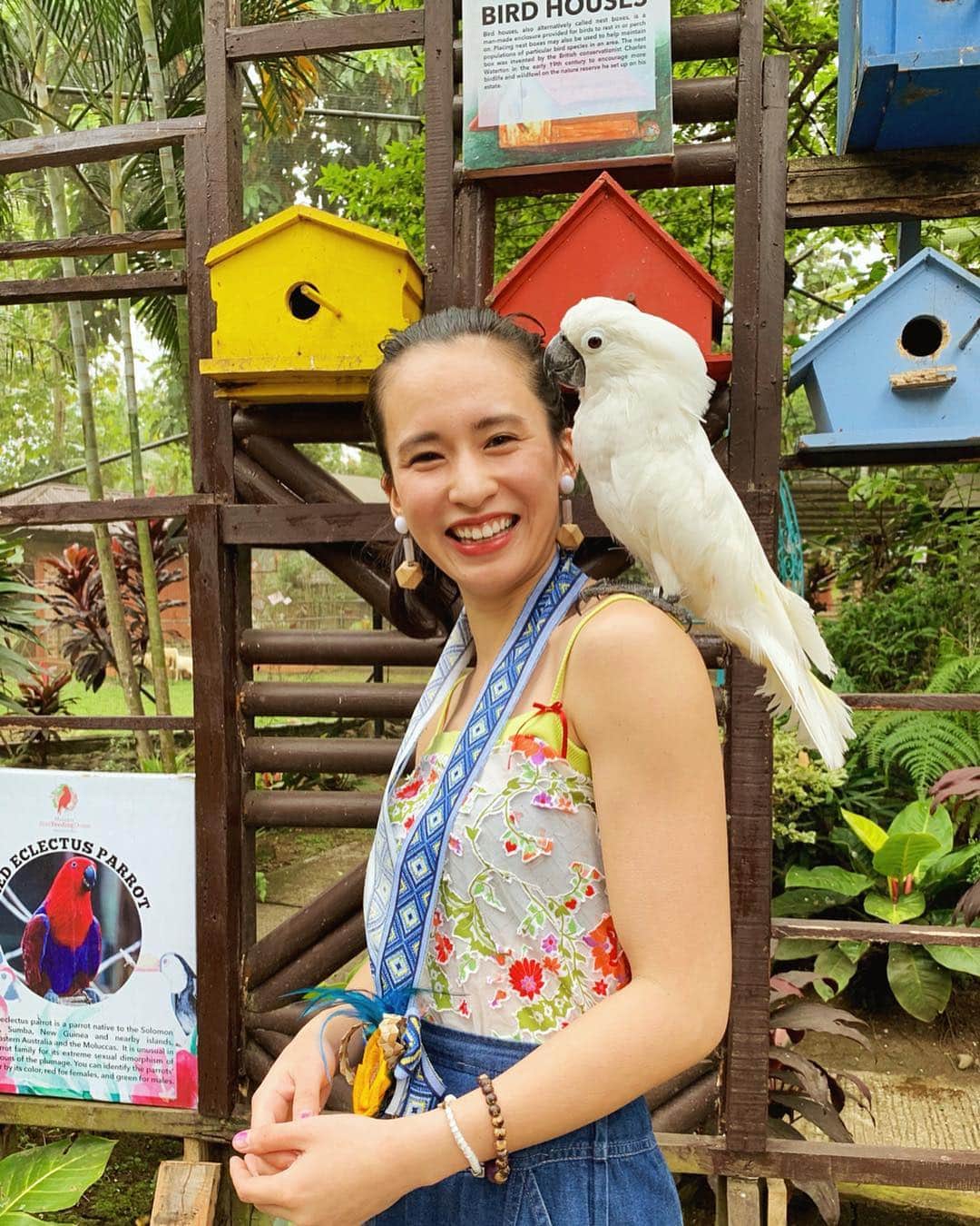 持永真実さんのインスタグラム写真 - (持永真実Instagram)「. 🦉🦜🦅🦆🦃 かわいいでしょ〜😍 Malagos Gardenでカラフルな鳥ちゃんたちと戯れました🌈😆👍🌿 とっっっても興奮して汗だく(笑) #まみtrip #まみinフィリピン #フィリピン #ダバオ #Philippines #Davao #malagosgardenresort #CEBTravelSquadJapan #もっと楽しいフィリピン #フィリピンファンセール」3月25日 19時48分 - mami_mochinaga