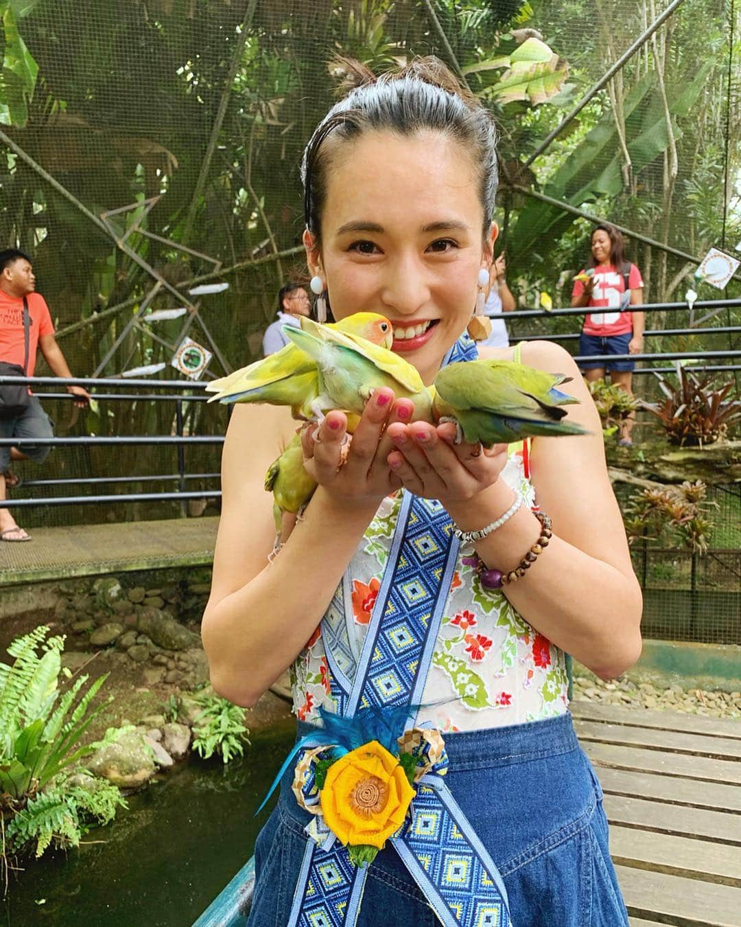 持永真実さんのインスタグラム写真 - (持永真実Instagram)「. 🦉🦜🦅🦆🦃 かわいいでしょ〜😍 Malagos Gardenでカラフルな鳥ちゃんたちと戯れました🌈😆👍🌿 とっっっても興奮して汗だく(笑) #まみtrip #まみinフィリピン #フィリピン #ダバオ #Philippines #Davao #malagosgardenresort #CEBTravelSquadJapan #もっと楽しいフィリピン #フィリピンファンセール」3月25日 19時48分 - mami_mochinaga