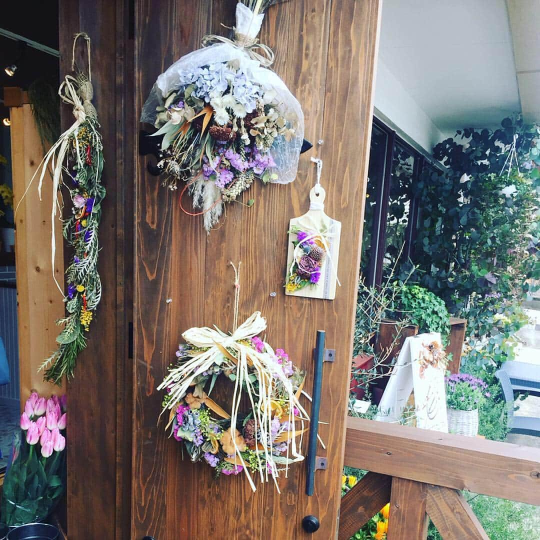 柴本愛沙さんのインスタグラム写真 - (柴本愛沙Instagram)「週末ランチ♡ お花屋さんの中にある 可愛いカフェへ🍽 @peacegarden_ohanatocafe  飯倉アナと坂本キャスター(兼記者)と✨  お花に囲まれて 女子力あげてきました♡ ホント素敵なカフェでした🍰  この日楽しすぎて、 帰ったら寂しくなったよぉー。  仕事柄、みんな声大きすぎて 会話丸聞こえ疑惑（笑） ここでもトイレまで声聞こえてきた。 わりと遠くの席に座ってたのにw  あー、お花屋さんになりたいかも💐 花のある生活っていいよね。  #ピースガーデン #peacegarden #ランチ #週末ランチ #lunch #カフェ #カフェ巡り #カフェめぐり #カフェご飯 #大分カフェ #大分カフェ巡り #大分カフェランチ #女子会 #cafe #cafemiru_大分 #西大分 #かんたん港園 #happy #花屋 #flowershop #oita #oitacafe #楽しかった #幸せな時間 #あと1週間 #がんばろう #桜も開花 #obs」3月25日 19時52分 - aisa_shibamoto